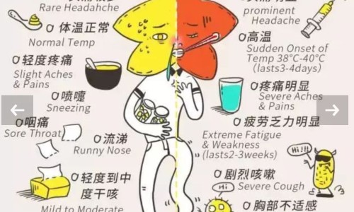 孕期感冒了怎么办才好得快-孕妇期间感冒了怎么办网 - 网站提供孕妇感冒了该怎么办小常识、孕妇感冒了怎们办